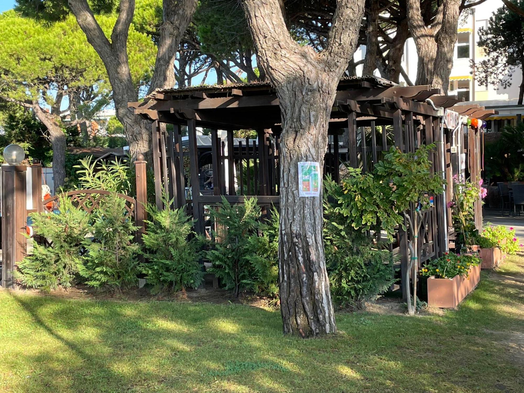 维纳德马尔皮内塔酒店 利多迪迪耶索洛 外观 照片